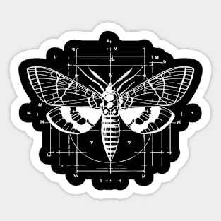 moth design Sticker